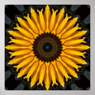 Affiches Tournesol parfait