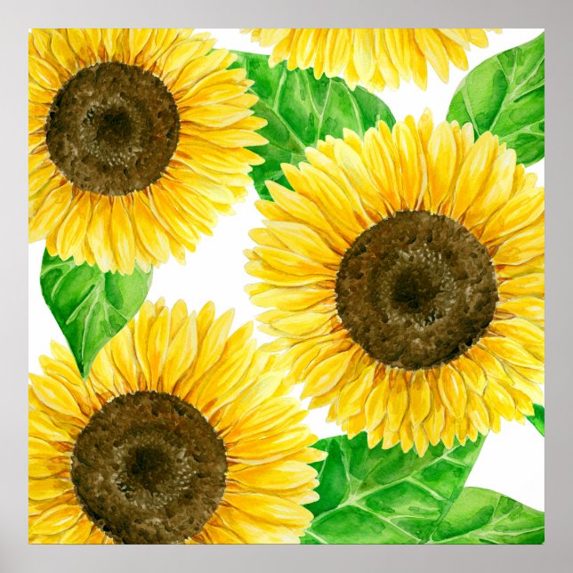 Affiches Tournesols aquarelle (Devant)
