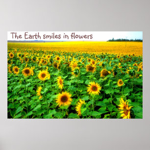 Affiches Tournesols de sourire par TDGallery