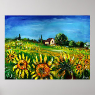 AFFICHES TOURNESOLS ET CAMPAGNE EN TOUSCANE