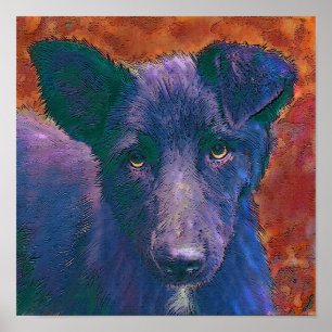 Affiches tout le chien américain