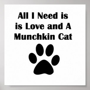 Affiches Tout que j'ai besoin est amour et un chat de