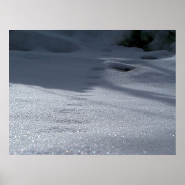 Affiches Tracks dans la neige (Devant)