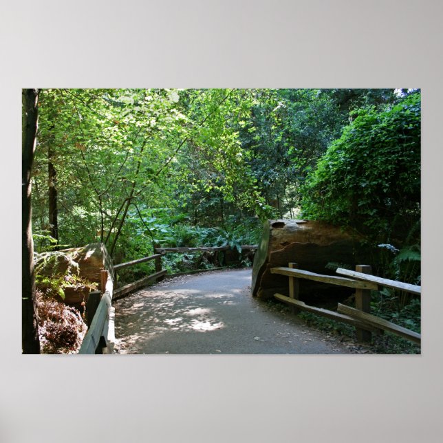 Affiches "Trail Break", Muir Woods (Devant)