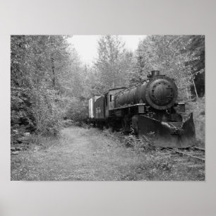 Affiches Train retiré de vapeur