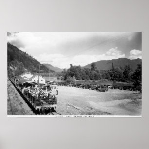 Affiches Train touristique du projet Skagit