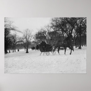 Affiches Traîneau hippomobile dans le Central Park, New