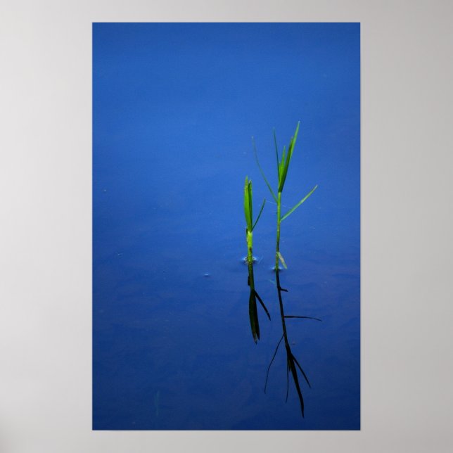 Affiches Tranquillité (Devant)