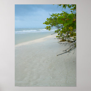 Affiches Tranquillité Sur L'Île De Sanibel