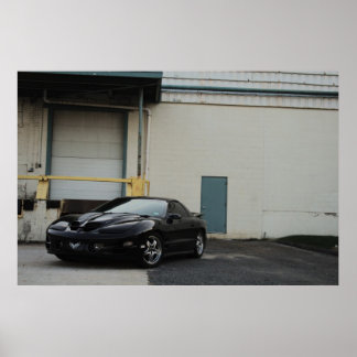 Affiches Trans-Am noir