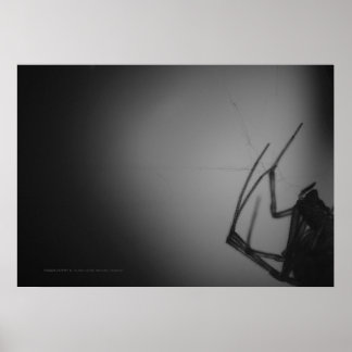 AFFICHES TRANSLUCENTE 8