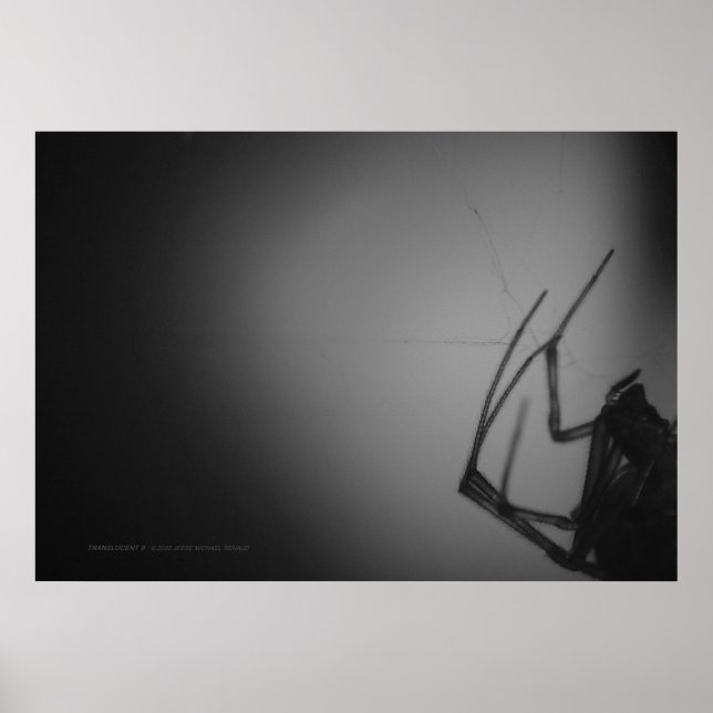 AFFICHES TRANSLUCENTE 8 (Devant)