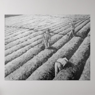 Affiches Travailleurs mexicains migrants de Watsonville