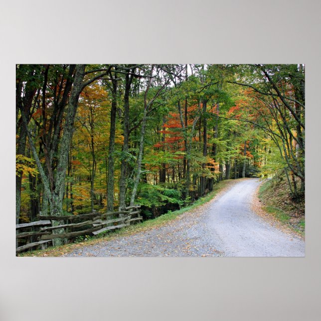 Affiches Traveled The Road Less (Devant)