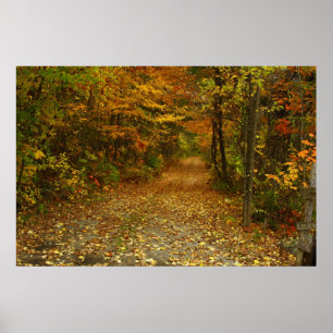 Affiches Traveled The Road Less