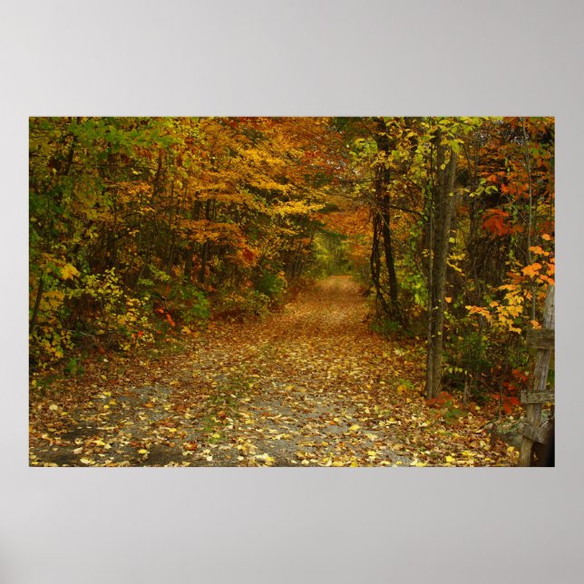 Affiches Traveled The Road Less (Devant)