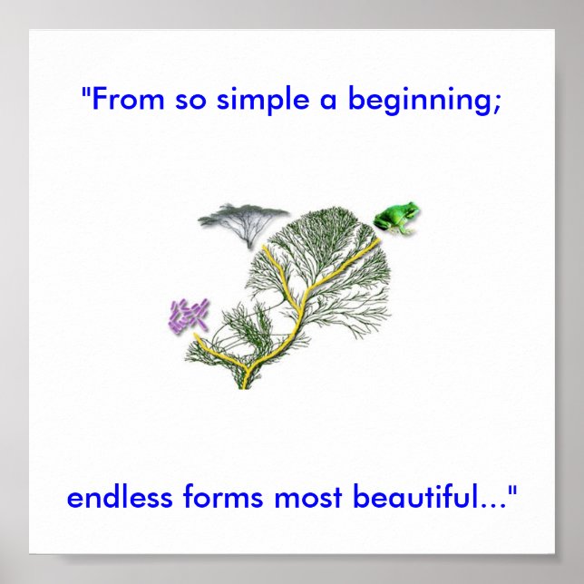 Affiches Tree of Life (Devant)