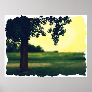 Affiches Tree of Life