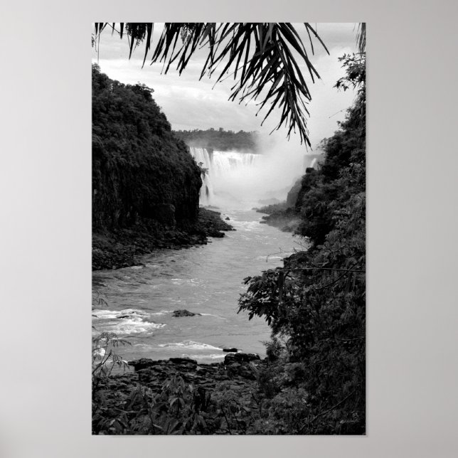 Affiches Trésor dans la jungle (Devant)