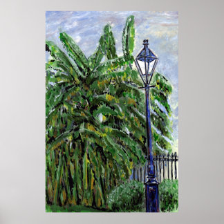 Affiches Tress banane à Jackson Carré