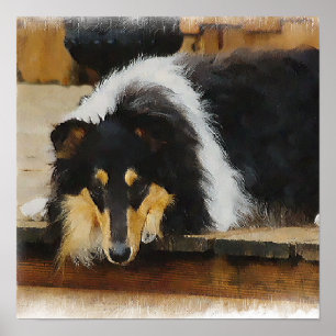 Affiches Tri Color Rough Collie Cadeaux Art