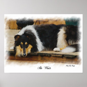 Affiches Tri Color Rough Collie Cadeaux Art