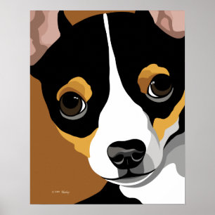 Affiches Tri couleur chihuahua