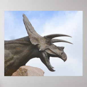 Affiches Tricératops Dinosaur