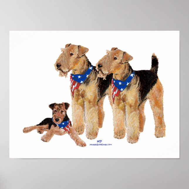 Affiches Trio de drapeaux patriotiques (Devant)