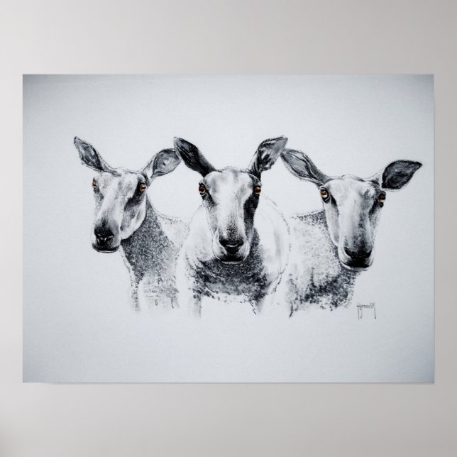 Affiches Trio d'impression des moutons (Devant)