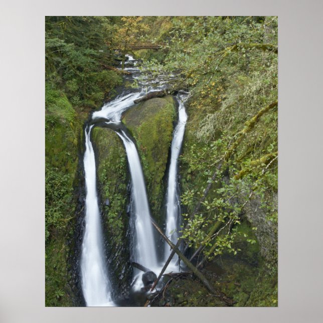 Affiches Triple Falls, gorge de Columbia (Devant)