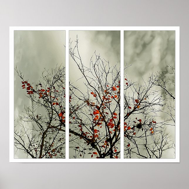 Affiches Triptyque avec motif naturel (Devant)