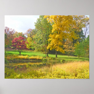 AFFICHES TROIS ARBRES : ROUGE ROSE ; JAUNE DORÉ ; VERT CITR