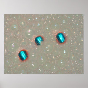 Affiches Trois Doigts Dans La Mousse