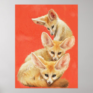 Affiches Trois Kits Fennec Fox