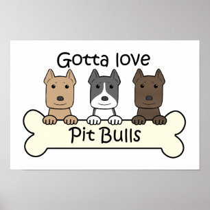 Affiches Trois Pitbulls