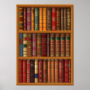 Affiches Trompe - l ' oeil "bibliothèque française".