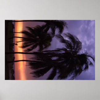 Affiches Tropical Beach Sunset