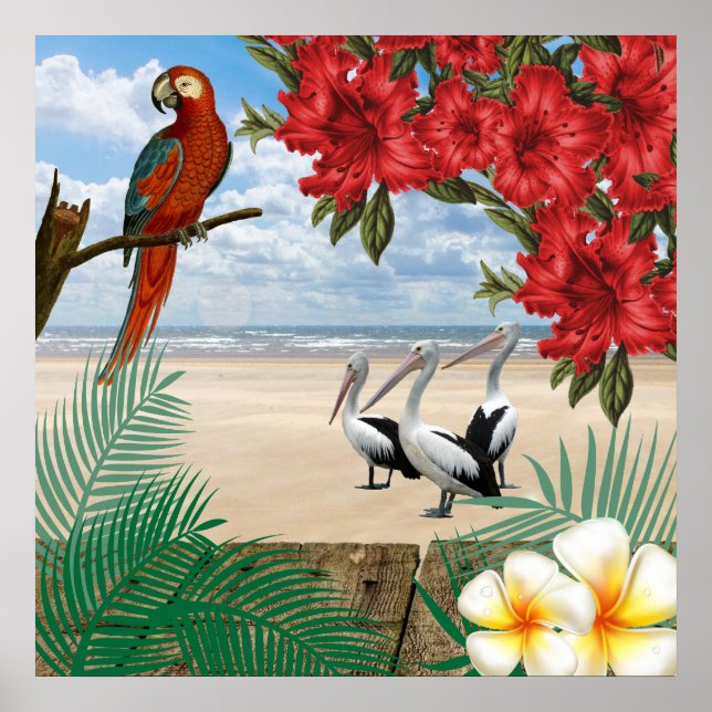 Affiches Tropical  Birds on the Beach (Devant)