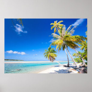Affiches Tropical coastline