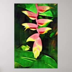 Affiches Tropical Heliconia - Lobster Claw 