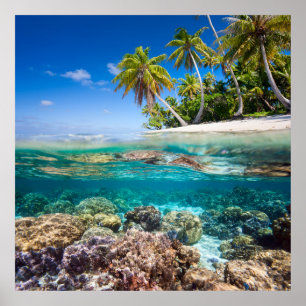 Affiches Tropical island under and above water