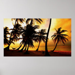 Affiches Tropical Sunset