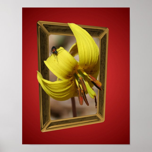 Affiches Truite Lily Fleurit Des Limites Art (Devant)