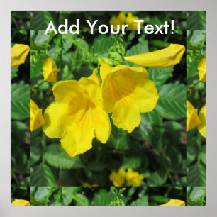 Affiches Trumpet Jardin Fleur Jaune