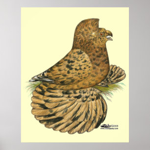 Affiches Trumpeter Almond