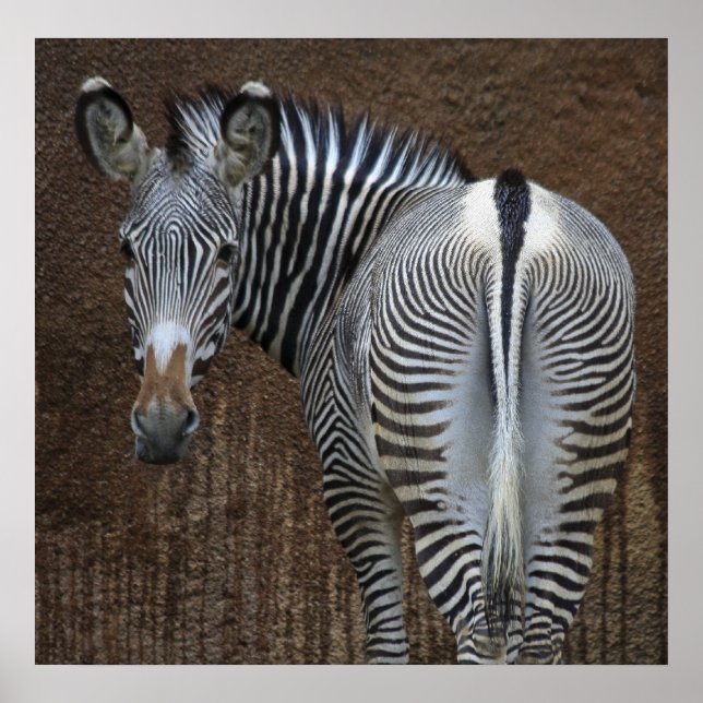 Affiches Tu Me Regarde ? (Devant)