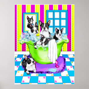 Affiches Tubes Terrier de Boston Full