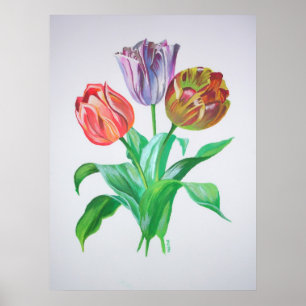 Affiches Tulip Trio Fleurs Artistiques colorées