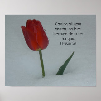 Affiches Tulipe dans la neige